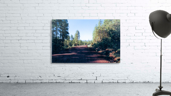 A Road Through Wall Preview