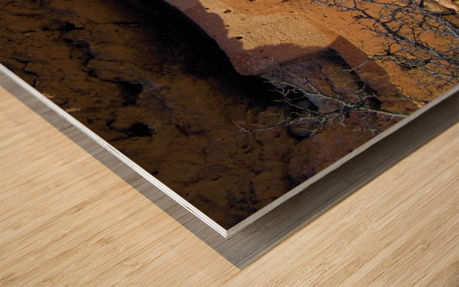 Montezuma's Castle-12 Wood print