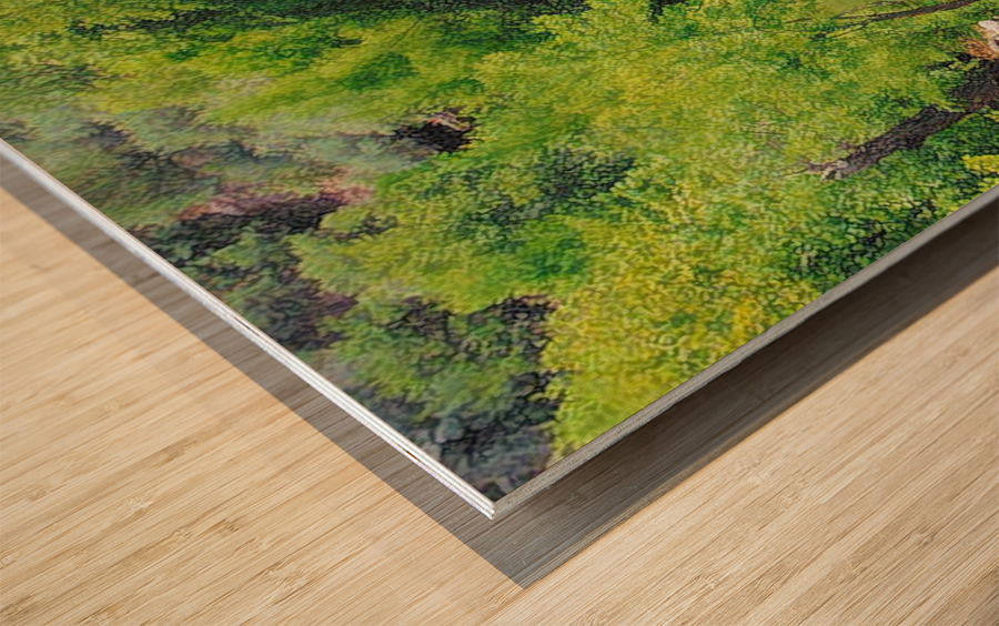Pond Wood print