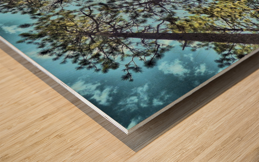Tree Tops Wood print