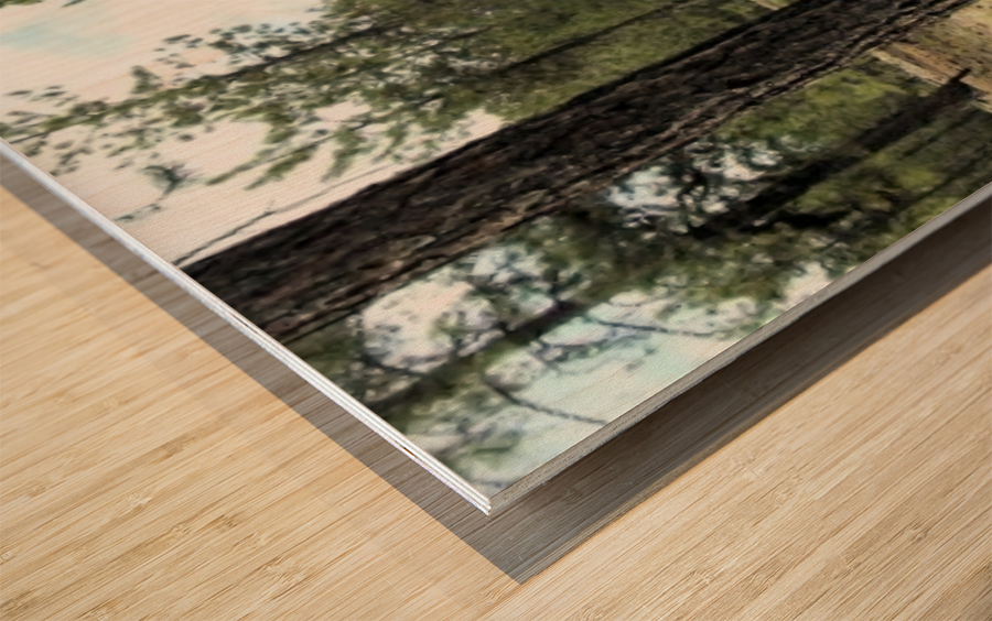 Peace and Quiet Wood print