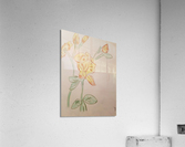 Zereon flower drawing Acrylic Print