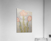 rose flower drawing Acrylic Print