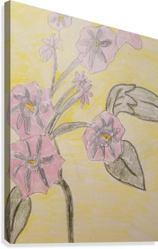 vera flower drawing Canvas Print