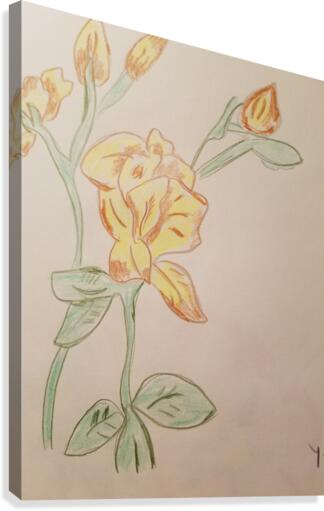 Zereon flower drawing Canvas Print