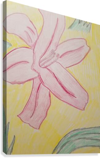 lily flower drawing Canvas Print