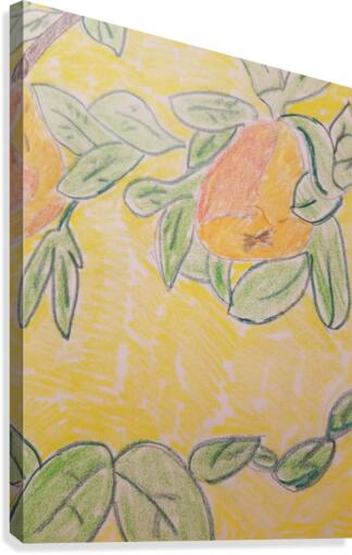 peaches drawing Canvas Print