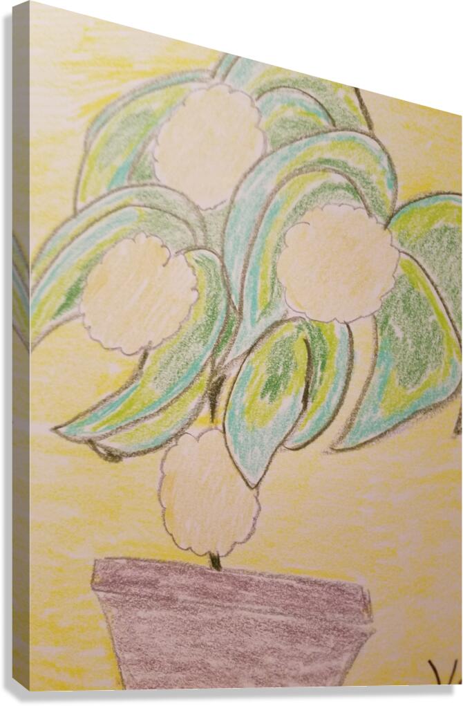 ferren flowers drawing Canvas Print