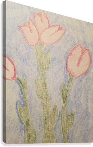 rose flower drawing Canvas Print