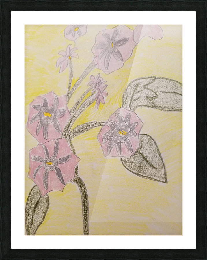 vera flower drawing Picture Frame print