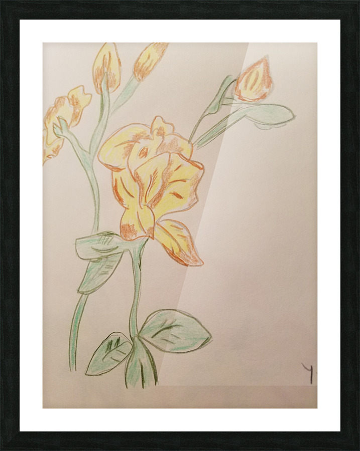 Zereon flower drawing Picture Frame print