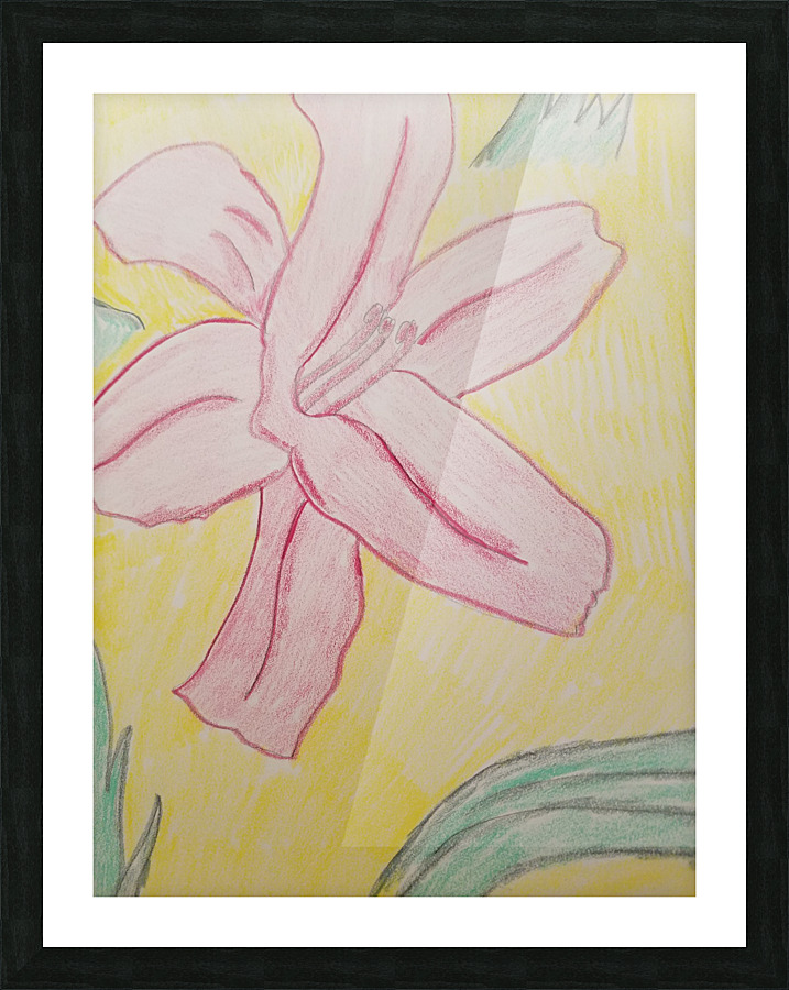 lily flower drawing Picture Frame print
