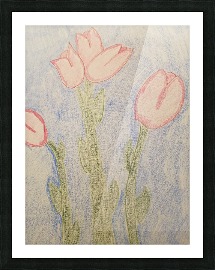 rose flower drawing Picture Frame print