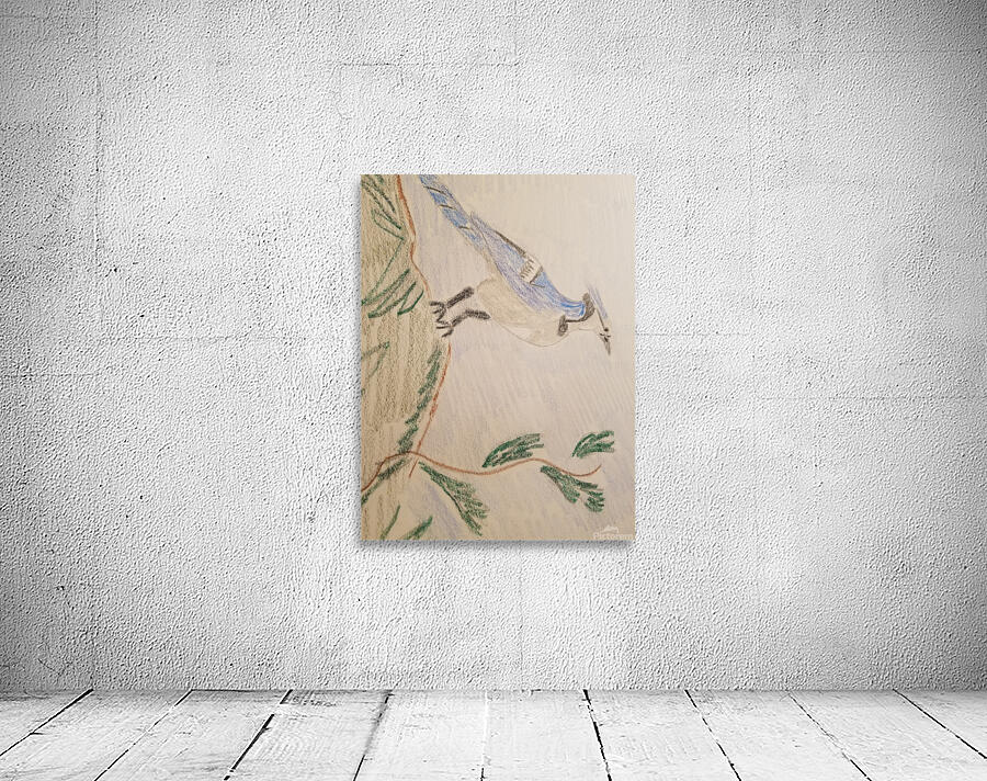 blue jay drawing Wall Preview