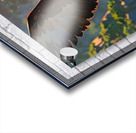 Wings of Majesty V1 Acrylic print