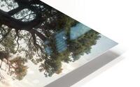 The Eldertree Covenant V2 HD Metal print