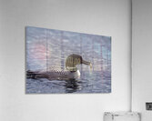 Just A Morcel  Acrylic Print