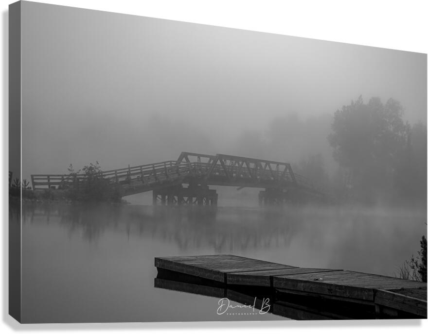 Pathway To The Unknown Canvas Print