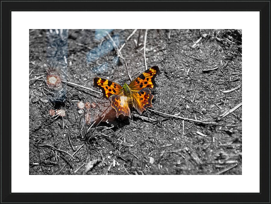 Comma Picture Frame print