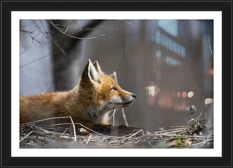 Hope Picture Frame print