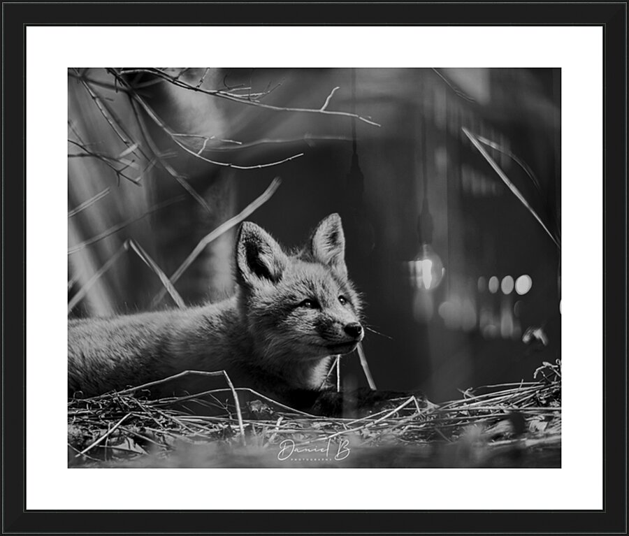 Wonder Picture Frame print