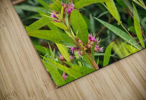 Hummer Daniel B Photography puzzle
