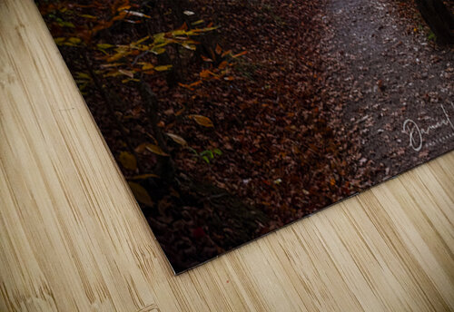 Trail Through Autumn Daniel B Photography puzzle