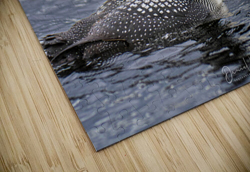 Just A Morcel  Daniel B Photography puzzle
