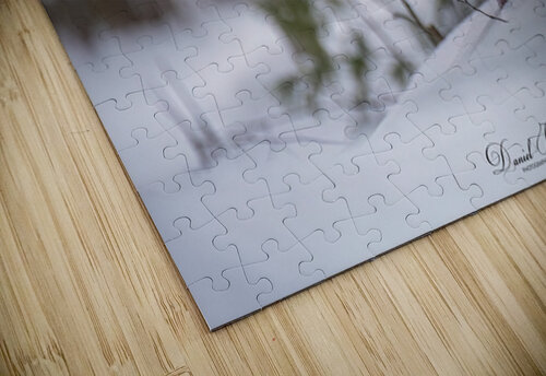 Talking Turkey Daniel B Photography puzzle