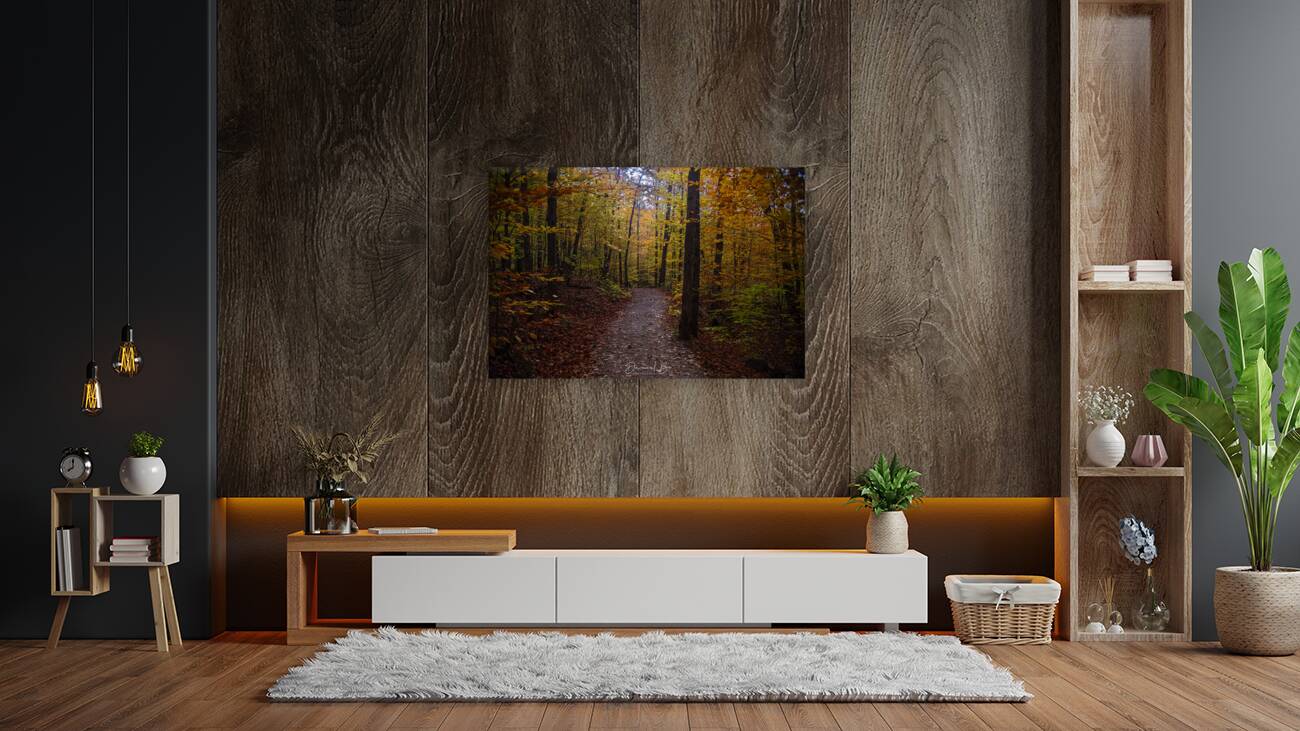Trail Through Autumn Reproduction