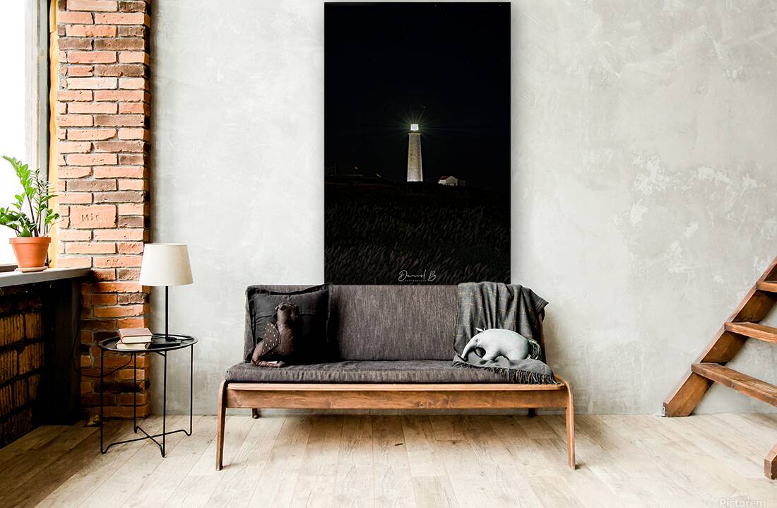 Lighting The Way Reproduction