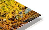 Autumn Visions HD Metal print