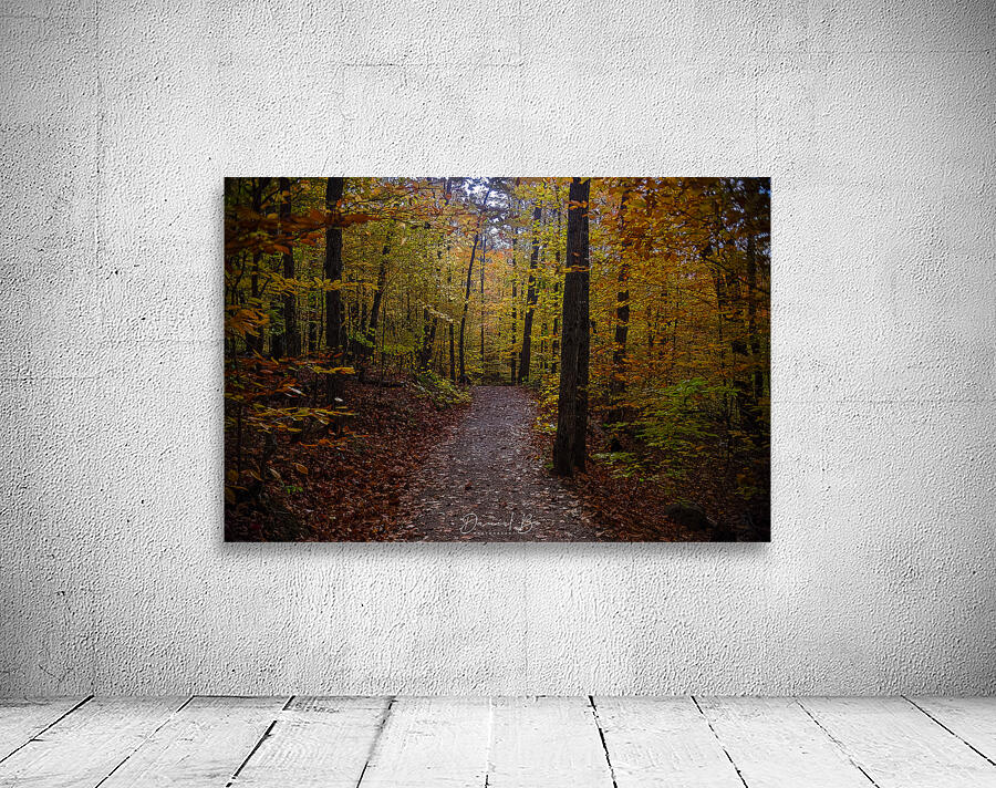 Trail Through Autumn Wall Preview