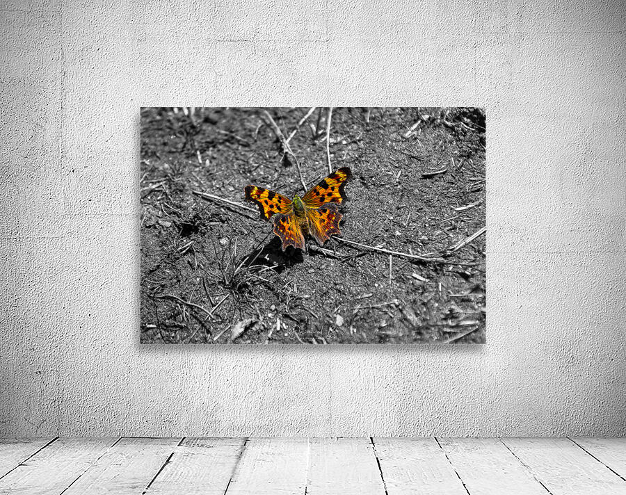 Comma Wall Preview