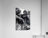 Nature Consumes Acrylic Print