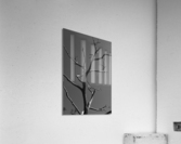 Bare Bones Acrylic Print