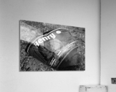 Henry Acrylic Print