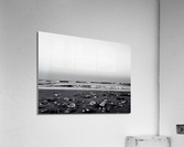 Shells and Sky Acrylic Print