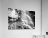 Nature Always Working Acrylic Print