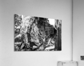  Nature’s Art Acrylic Print