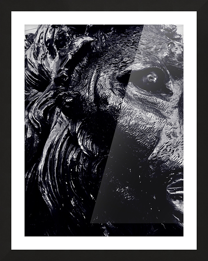 The Lion Picture Frame print