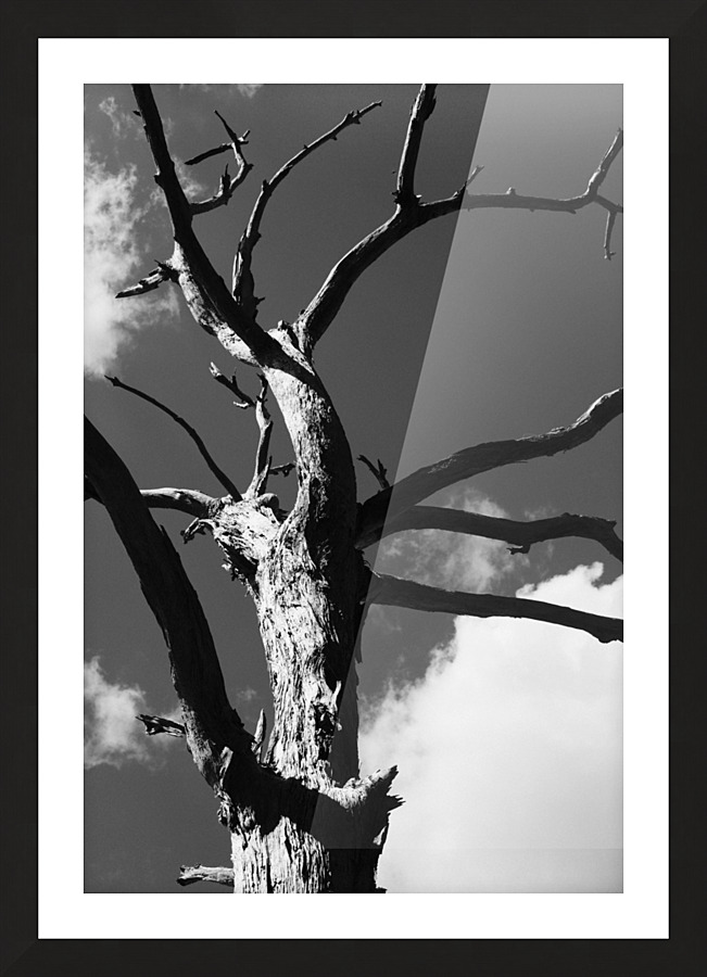 Dead & Twisted Picture Frame print