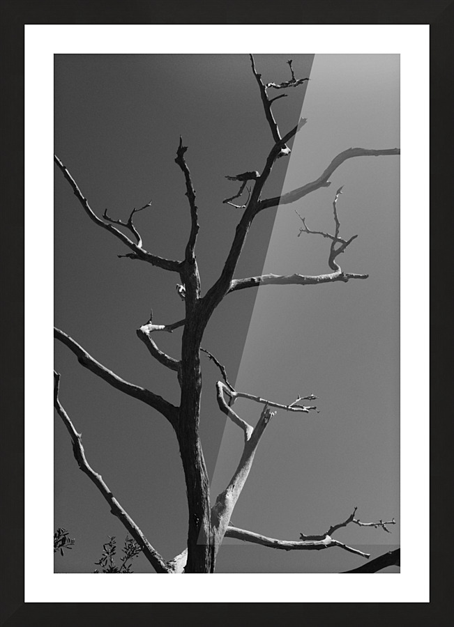 Bare Bones Picture Frame print