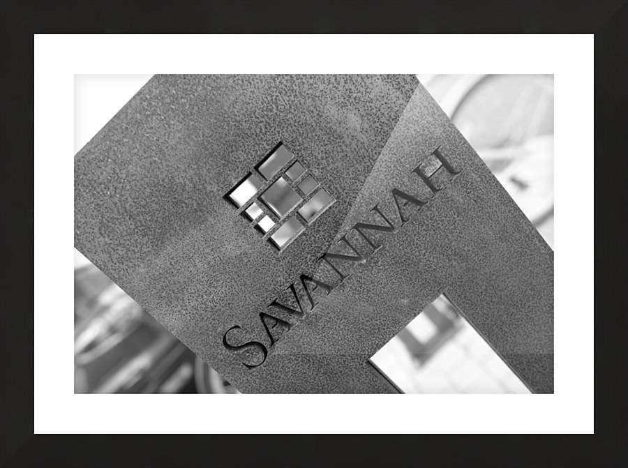 Savannah Picture Frame print