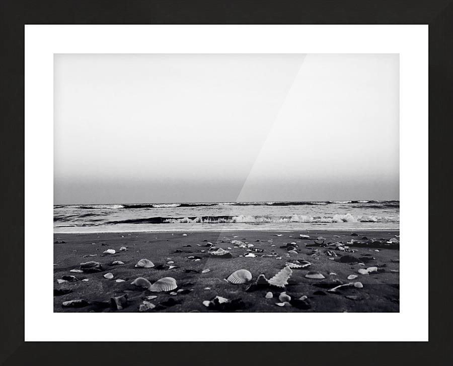 Shells and Sky Picture Frame print