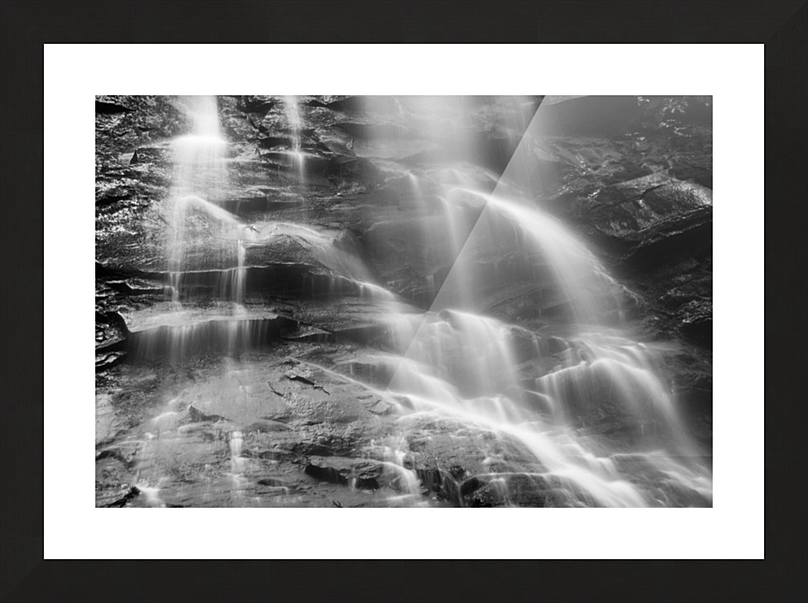 Nature Always Working Picture Frame print