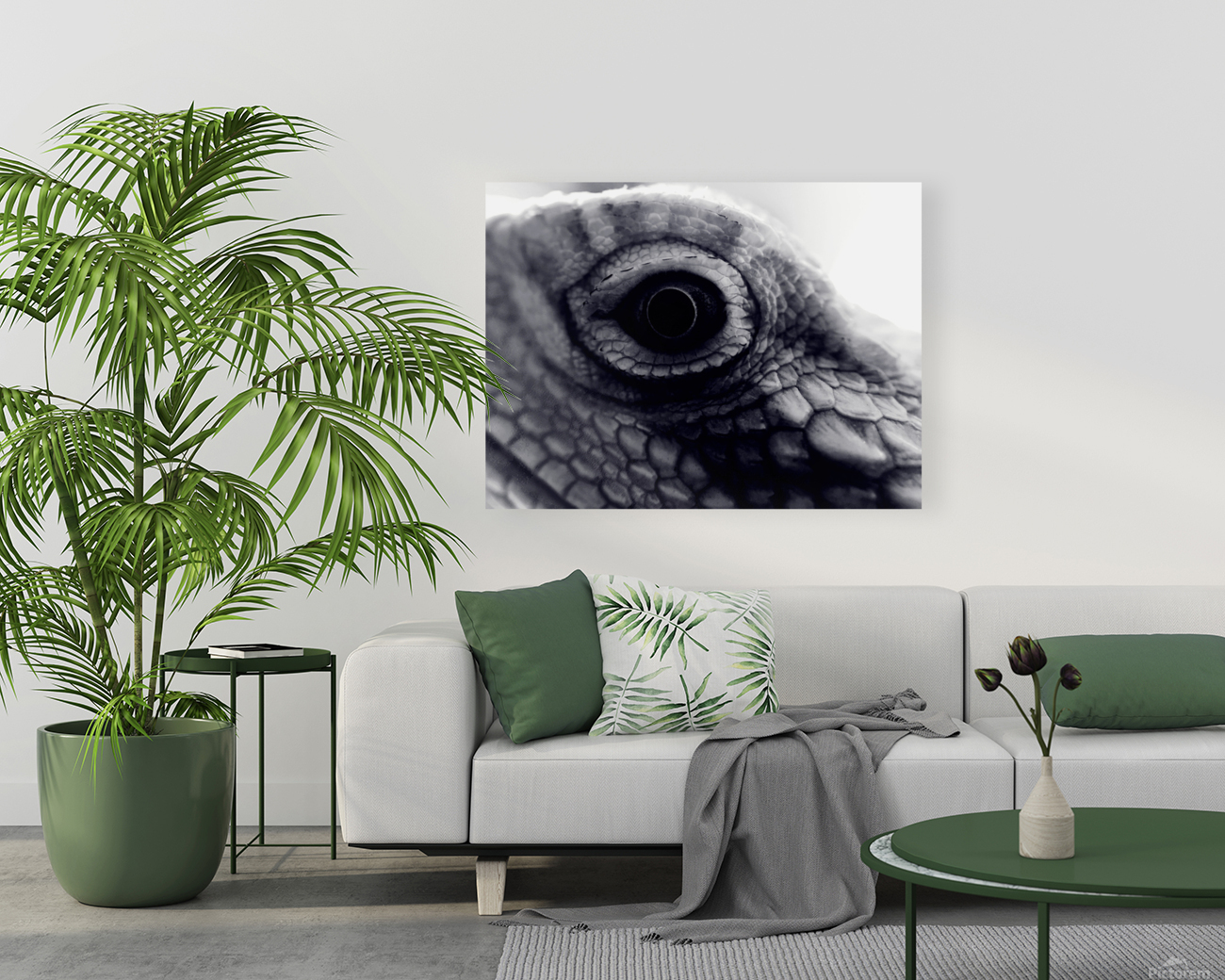 Dragon’s Eye Reproduction