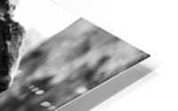  Nature’s Art HD Metal print