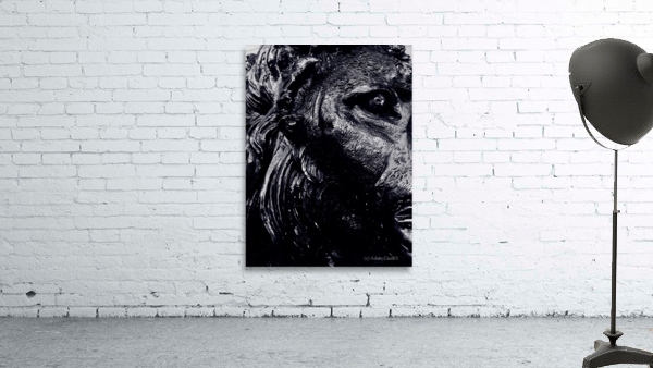The Lion Wall Preview