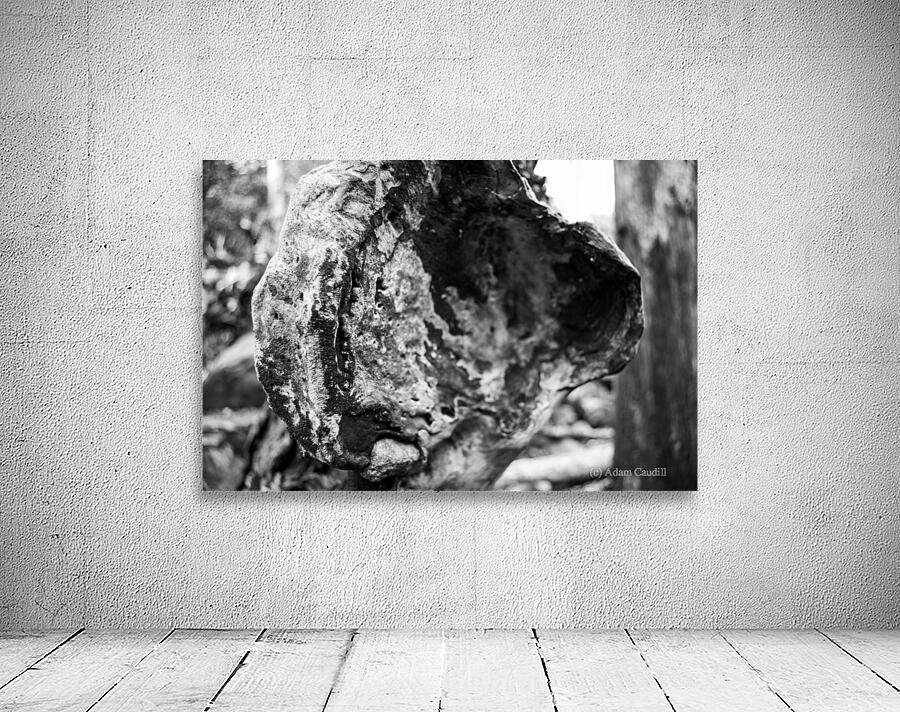  Nature’s Art Wall Preview